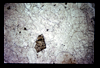ap1605_09_15