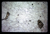 ap1605_09_17