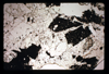 ap1605_10_01