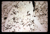 ap1605_10_03