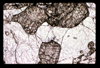 ap1605_10_11