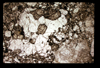 ap1605_10_13