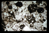 ap1605_12_11
