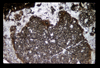 ap1605_12_15