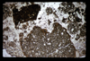 ap1605_12_16
