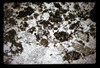 ap1605_13_03