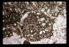 ap1605_13_06