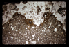 ap1605_13_07