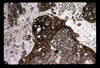 ap1605_13_08