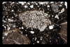 ap1605_13_13