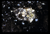 ap1605_13_14