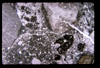 ap1606_05_09
