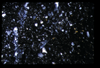 ap1606_06_12