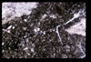 ap1606_06_17