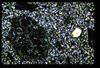 ap160M_07_14