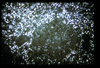 ap160M_07_16