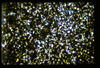 ap160M_07_18