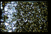 ap160M_08_18