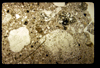 ap160M_09_03