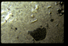 ap160M_09_08