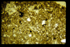 ap160M_11_19