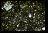 ap160M_11_20