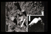 ap160M_12_07