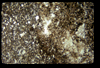 ap160M_12_09
