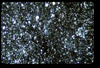 ap160M_12_10