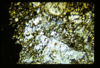 ap160M_13_02