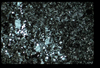 ap160M_17_16