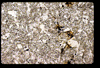 ap160M_17_17