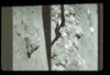 ap160M_24_06
