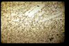 ap160M_26_09