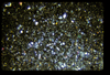ap160M_28_08