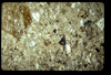 ap160M_28_09