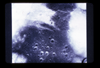 ap1701_01_11