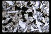ap1701_02_03
