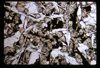 ap1701_02_05