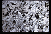 ap1701_02_09
