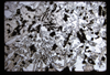 ap1701_02_10
