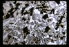 ap1701_02_11