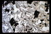 ap1701_02_13