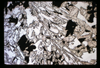 ap1701_02_15