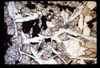 ap1701_02_17
