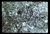 ap1701_03_01