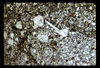 ap1701_03_03