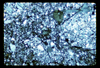 ap1701_03_08