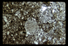 ap1701_03_11