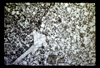 ap1701_03_13
